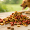 What Kibble Should I Feed My Dog? An In-Depth Guide to Choosing the Best Dog Food