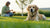 What Makes a Dog Gain Weight Fast: Understanding Causes and Solutions