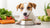 What Percentage of Body Weight Should a Dog Eat? Understanding Your Dog's Nutritional Needs