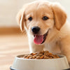 What’s a Good Puppy Dog Food? A Comprehensive Guide to Nourishing Your Furry Friend