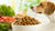 What's Best Dry Dog Food: A Comprehensive Guide for Pet Owners