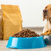 What's Best: Dry or Wet Dog Food? Unpacking the Choices for Your Canine Companion