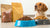 What's Best: Dry or Wet Dog Food? Unpacking the Choices for Your Canine Companion