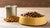 What's Better: Dry or Wet Dog Food?