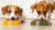 What's Better for Dogs: Dry Food or Wet Food?