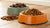 What's Better for Dogs: Dry or Wet Food?