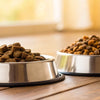 What's Better for Dogs: Wet Food or Dry Food?