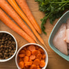 What's Good for Dogs to Eat: A Guide to Safely Sharing Human Food