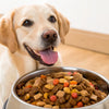What's the Best Canned Dog Food for Dogs? A Comprehensive Guide for Pet Parents