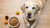 What's the Best Dry Dog Food for Senior Dogs? A Comprehensive Guide