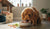 What's the Best High Protein Dog Food? A Comprehensive Guide for Pet Owners