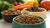 What's the Best Kibble for Dogs? A Comprehensive Guide for Pet Owners