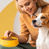 What's the Best Way to Put Weight on a Dog? A Comprehensive Guide for Caring Pet Owners
