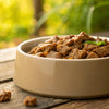 What's the Best Wet Dog Food for Dogs? A Comprehensive Guide for Pet Owners
