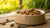 What's the Best Wet Dog Food for Dogs? A Comprehensive Guide for Pet Owners