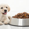 What's the Best Wet Dog Food for Puppies? A Comprehensive Guide for Pet Parents