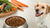 What's the Deal with Grain-Free Dog Food? Exploring the Pros and Cons