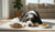 What's the Difference Between Adult Dog Food and Puppy Food?