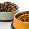 What’s the Difference Between Grain Free and Regular Dog Food?