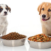 What's the Difference Between Puppy and Dog Food?