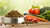 What's the Healthiest Kibble for Dogs? A Comprehensive Guide for Pet Owners