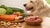 What Supplements Do Dogs Need in Homemade Food?