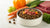 What to Add to Your Dog's Kibble: Elevating Your Pup’s Diet