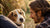 What to Do If My Dog Ate Chocolate Cookies: A Comprehensive Guide for Pet Owners-141107724527