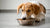 What to Do if Your Dog Doesn’t Eat His Food: A Comprehensive Guide-140302254319
