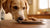 What to Do If Your Dog Eats Cookie Dough: A Comprehensive Guide