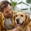 What to Do If Your Dog Eats Spicy Food: A Comprehensive Guide for Pet Owners