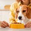 What to Do If Your Dog Has a Food Allergy: A Comprehensive Guide for Pet Owners