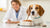 What to Do If Your Dog Has Food Allergies: A Comprehensive Guide-141042319599