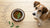 What to Do If Your Dog Is Not Eating Dog Food-140131500271