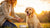 What to Do If Your Dog Stops Eating His Food: A Comprehensive Guide for Pet Owners-140219416815