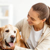 What to Do When Dog Is Not Eating Food: A Comprehensive Guide for Pet Owners