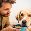 What to Do When Dog Not Eating Food: A Comprehensive Guide for Concerned Pet Owners