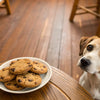 What to Do When Your Dog Eats Chocolate Chip Cookies: A Comprehensive Guide for Pet Owners