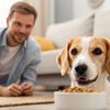 What to Do When Your Dog Won't Eat Dry Food: Tips for Pet Parents