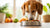 What to Do When Your Dog Won't Eat Kibble: A Comprehensive Guide