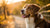 What to Expect After Neutering: Understanding Dog Behavior Changes-141223166191