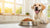 What to Feed a Dog for Weight Gain: A Comprehensive Guide