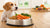 What to Feed a Dog That Won’t Eat Dog Food: A Comprehensive Guide