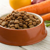 What to Feed a Dog to Gain Weight Fast: A Comprehensive Guide for Pet Owners
