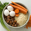 What to Feed a Puppy When Out of Dog Food: A Comprehensive Guide