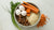 What to Feed a Puppy When Out of Dog Food: A Comprehensive Guide