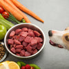 What to Feed Dogs Instead of Kibble: Elevating Your Pet’s Diet