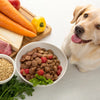 What to Feed Dogs to Help Lose Weight: A Comprehensive Guide for Pet Owners