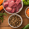 What to Feed My Dog to Lose Weight: A Comprehensive Guide for Pet Owners