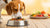 What to Feed Your Dog to Gain Weight Fast: A Comprehensive Guide for Pet Owners